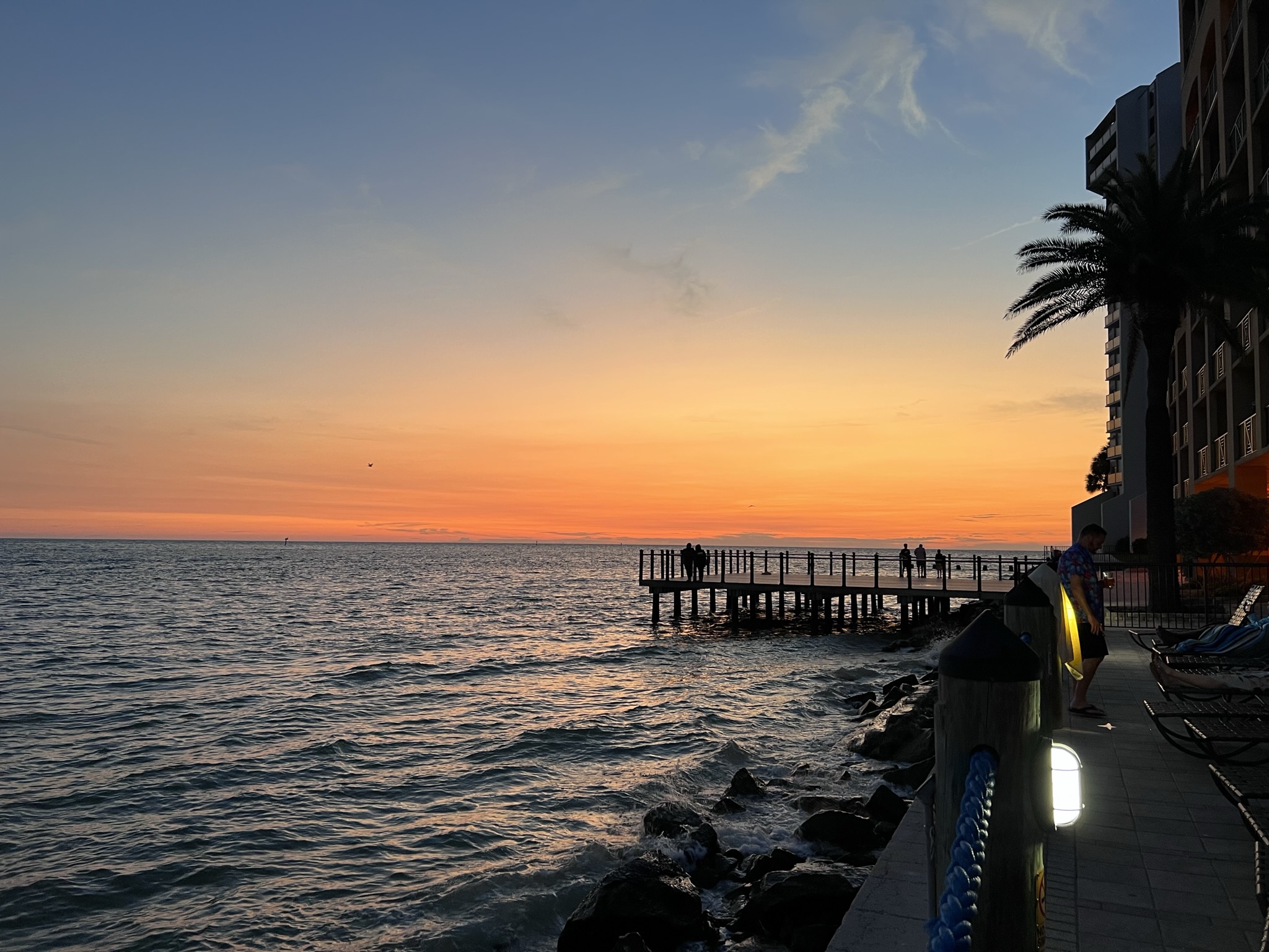 Waterfront sunset with a pier and palm silhouette